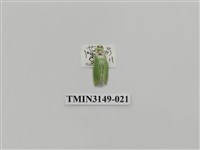 藏品(螟蛾300)的圖片